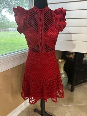 BEBE Open Mesh Dress. Red Crochet Fit & Flare Dress with Ruffle Sleeves